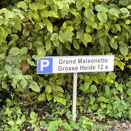 Grand Maisonette Apartment *